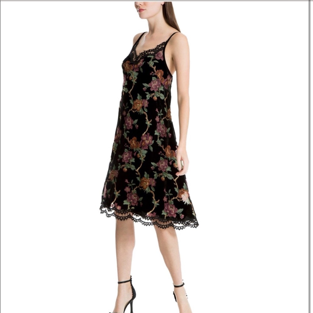 MAX STUDIO NWT velvet slip dress